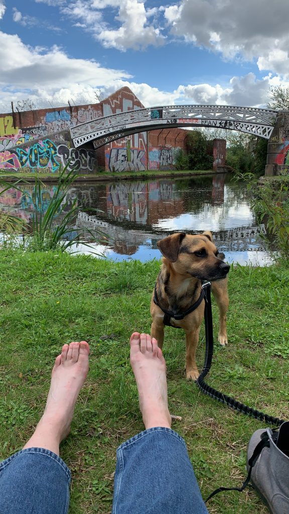 a white person practicing being held by the earth - they are barefoot on grass by a canal, with a small brown dog