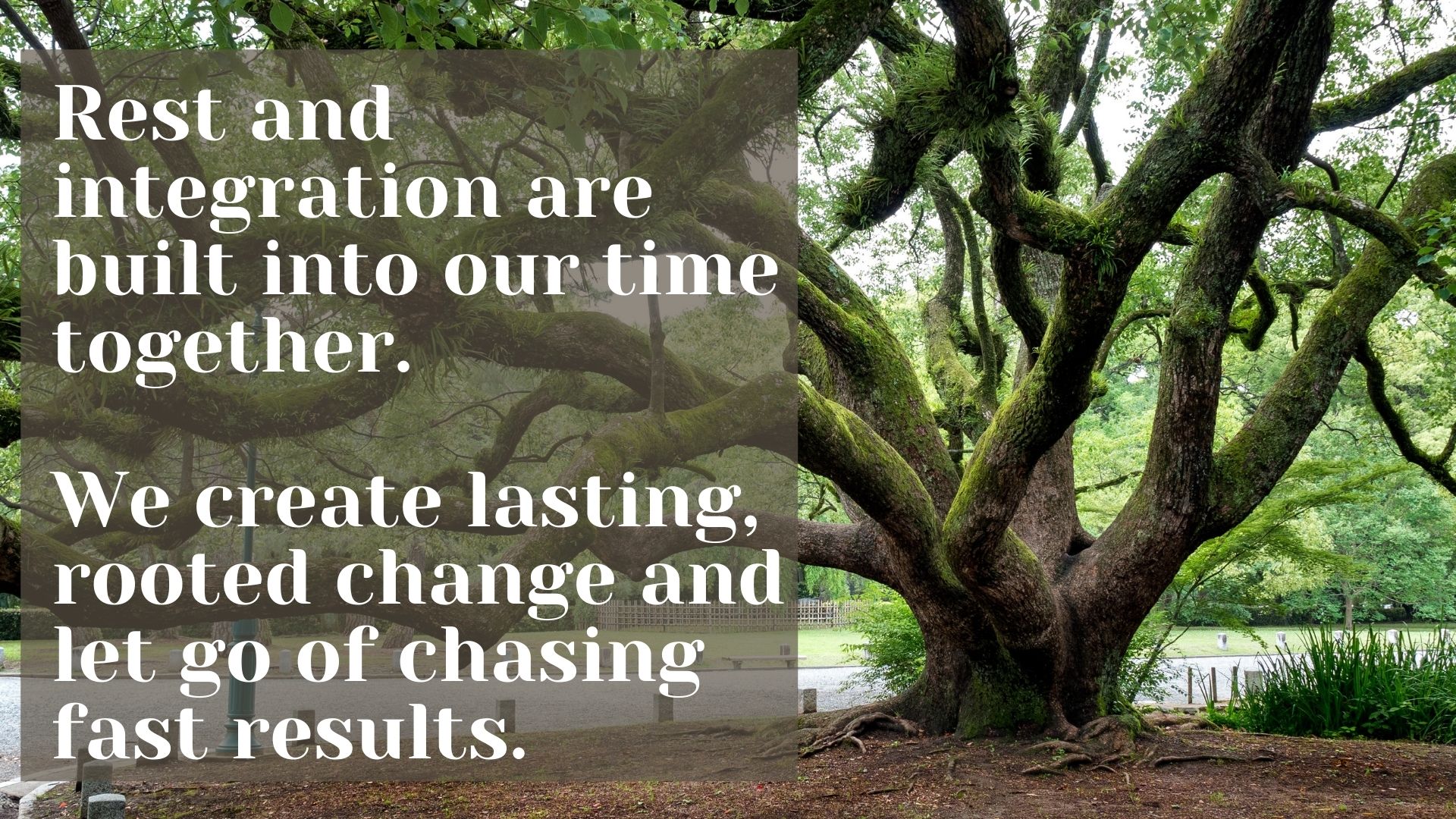 old oak tree with text " rest and integration are built into our time together.W